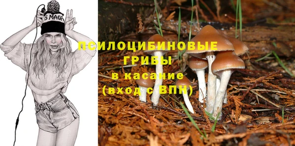 ALPHA PVP Алзамай