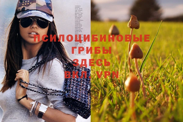 стаф Алексин