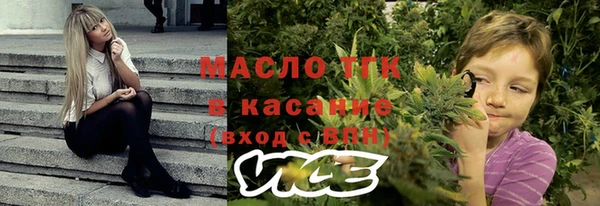 стаф Алексин